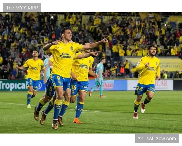 法国业余足球联赛观众人数创新高，基层足球发展势头良好